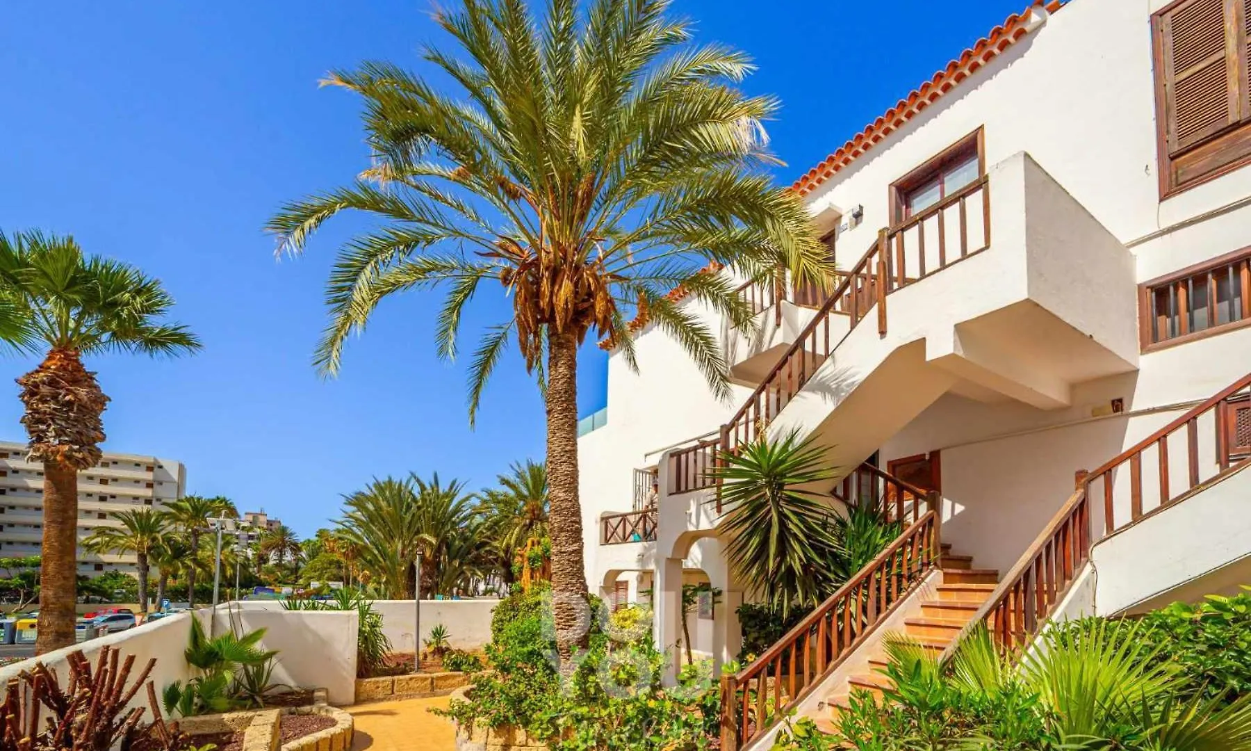 Apartahotel Apartment Paraiso Royal Arona  España